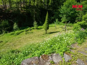Prodej lesa, Jablonec nad Jizerou - Dolní Tříč, 18052 m2