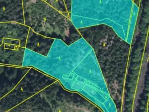 Prodej lesa, Jablonec nad Jizerou - Dolní Tříč, 18052 m2