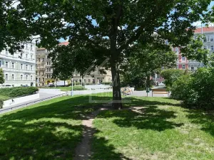 Pronájem bytu 3+kk, Praha - Nové Město, Sokolská, 114 m2