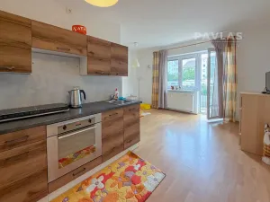 Pronájem bytu 1+kk, České Budějovice, Jírovcova, 28 m2