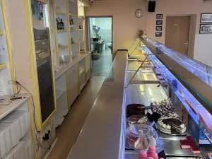 Pronájem komerční nemovitosti, Bučovice, Slavkovská, 101 m2
