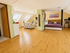 Prodej rodinného domu, Brno, Potácelova, 294 m2