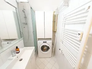 Pronájem bytu 1+kk, Praha - Vinohrady, Mikovcova, 30 m2