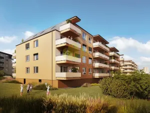Pronájem bytu 1+kk, Olomouc, Topolová, 38 m2