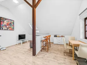 Prodej rodinného domu, Domažlice - Město, Spálená, 312 m2
