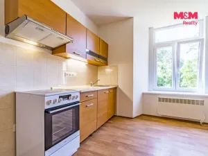 Pronájem bytu 1+kk, Vlčice, 41 m2