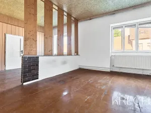Prodej rodinného domu, Třebíč, Bedřicha Václavka, 250 m2