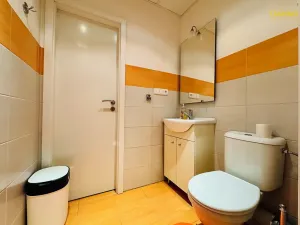 Prodej bytu 1+1, Třebíč, Tolstého, 31 m2