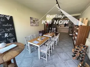 Pronájem obchodního prostoru, Kroměříž, Gen. Svobody, 139 m2