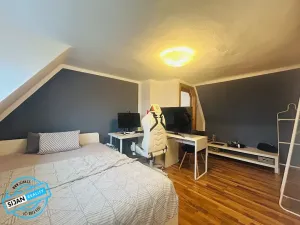 Prodej rodinného domu, Bruntál, 234 m2