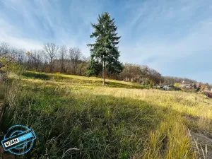 Prodej pozemku pro bydlení, Krnov, 1306 m2