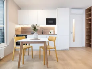 Pronájem bytu 1+kk, Praha - Prosek, Litoměřická, 35 m2