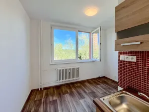 Pronájem bytu 2+kk, Brno, Palackého třída, 39 m2