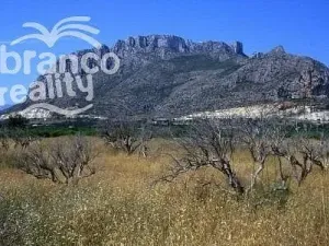 Prodej bytu 4+kk, El Verger, Alicante, Španělsko, 97 m2