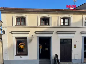 Pronájem restaurace, Nový Jičín, Žerotínova, 70 m2