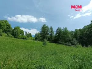 Prodej pozemku pro bydlení, Božanov, 3276 m2