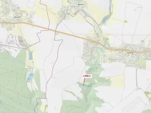 Dražba lesa, Dražice, 1957 m2