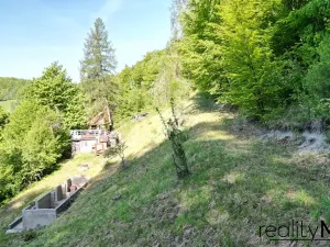Prodej pozemku pro bydlení, Rakousy, 5248 m2