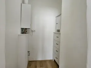 Pronájem bytu 1+kk, Plzeň - Východní Předměstí, Sladkovského, 36 m2