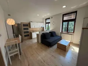Pronájem bytu 2+kk, Jihlava, Benešova, 51 m2