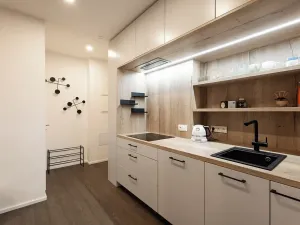 Prodej bytu 2+kk, Praha - Vinohrady, Slavíkova, 54 m2