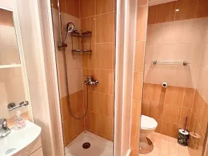 Pronájem bytu 1+1, Jihlava, Královský vršek, 33 m2