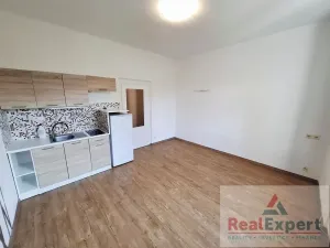 Pronájem bytu 1+kk, Praha - Žižkov, Jeseniova, 25 m2