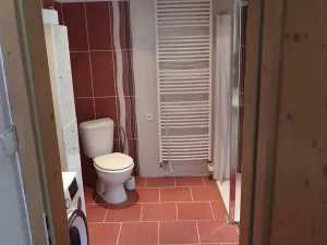 Prodej rodinného domu, Bělá pod Bezdězem, Táborová, 178 m2
