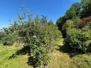 Prodej chaty, Velký Týnec, 20 m2