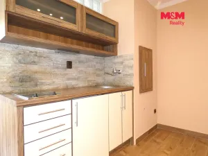 Pronájem bytu 1+kk, Ostrava - Moravská Ostrava, Petra Křičky, 30 m2