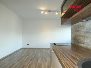 Pronájem bytu 1+kk, Ostrava - Moravská Ostrava, Petra Křičky, 30 m2