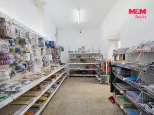 Prodej rodinného domu, Lužná, Čsl. armády, 280 m2