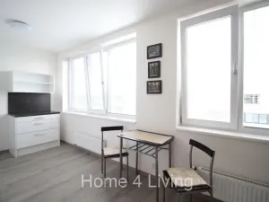 Pronájem bytu 1+kk, Brno, Nad Přehradou, 25 m2