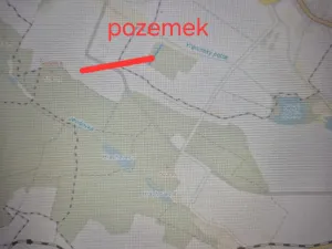 Prodej lesa, Litohoř, 5295 m2