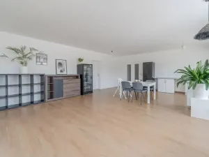 Prodej vícegeneračního domu, Trubín, Za Úvozem, 324 m2