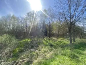 Dražba louky, Hranice, 2086 m2