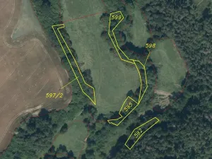 Dražba louky, Křečovice, 3882 m2