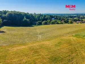 Prodej louky, Petrovice u Karviné - Prstná, 29562 m2