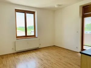 Pronájem bytu 1+kk, Mikulov, Bezručova, 30 m2