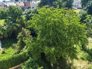 Pronájem bytu 2+1, Prostějov, nám. Spojenců, 80 m2