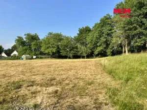 Prodej pozemku pro bydlení, Sedlec-Prčice - Šanovice, 2996 m2