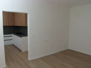 Pronájem bytu 1+1, Vysoké Mýto - Pražské Předměstí, V Peklovcích, 38 m2