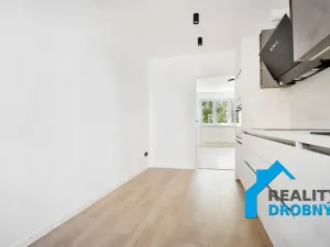 Prodej bytu 2+1, Děčín, Podmokelská, 53 m2