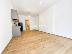 Pronájem bytu 1+kk, Praha - Břevnov, Pod Drinopolem, 30 m2