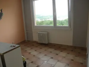 Pronájem bytu 2+kk, Ústí nad Labem, Nová, 43 m2