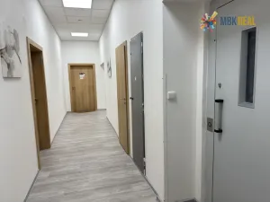 Pronájem kanceláře, Brno, Starobrněnská, 37 m2