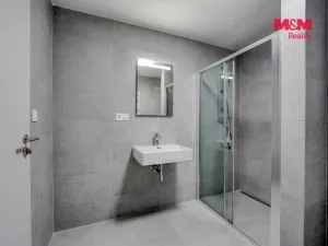 Pronájem bytu 1+kk, Plzeň - Litice, Srncová, 36 m2