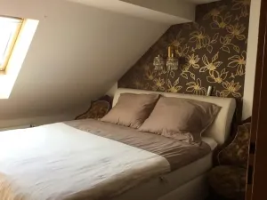 Prodej rodinného domu, Otaslavice, 14 m2