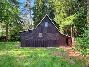 Prodej chaty, Borová, 53 m2