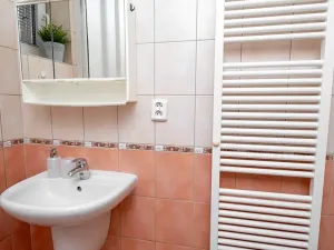 Pronájem bytu 1+kk, Praha - Libeň, Budilova, 39 m2